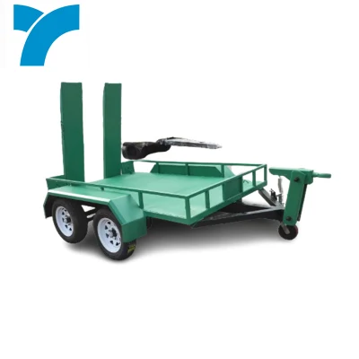 Car Dolly Tandem Axle Enclosed Car Trailer with Door Special Customized 2 Axle Car Carrier Semi Trailer